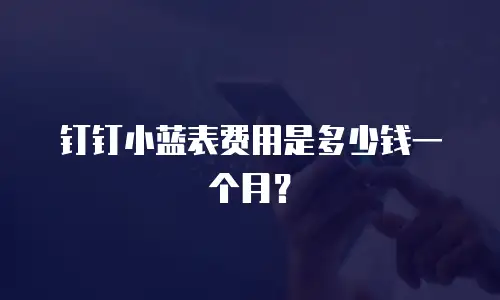 钉钉小蓝表费用是多少钱一个月？