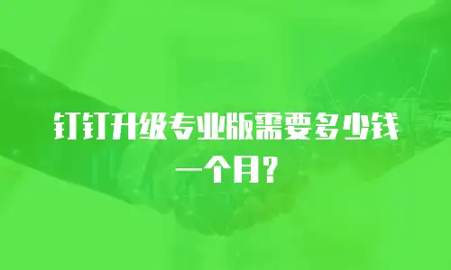 钉钉升级专业版需要多少钱一个月？