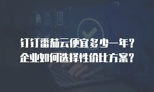 钉钉番茄云便宜多少一年？企业如何选择性价比方案？