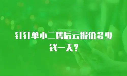 钉钉单小二售后云报价多少钱一天？