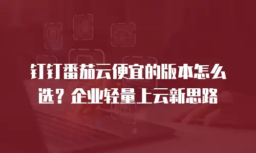 钉钉番茄云便宜的版本怎么选？企业轻量上云新思路