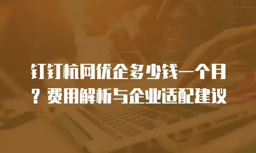 钉钉杭网优企多少钱一个月？费用解析与企业适配建议