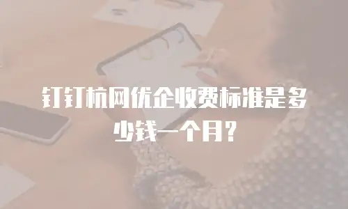 钉钉杭网优企收费标准是多少钱一个月？