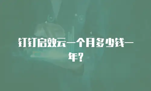 钉钉启效云一个月多少钱一年？