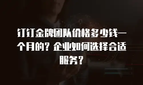 钉钉金牌团队价格多少钱一个月的？企业如何选择合适服务？