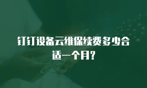 钉钉设备云维保续费多少合适一个月？