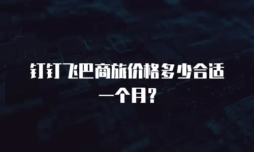 钉钉飞巴商旅价格多少合适一个月？