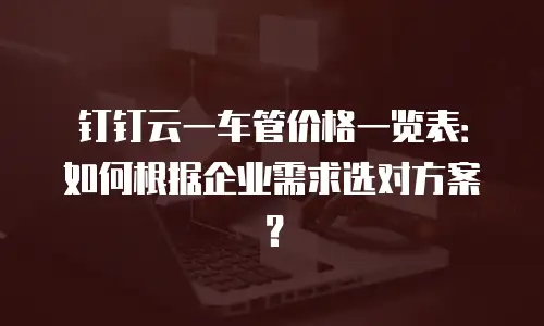 钉钉云一车管价格一览表：如何根据企业需求选对方案？