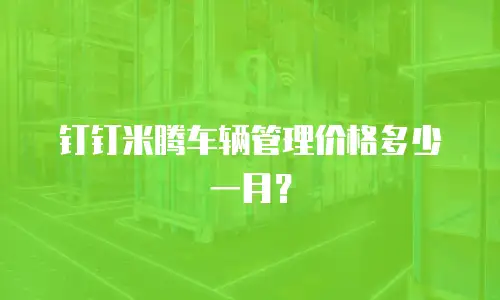 钉钉米腾车辆管理价格多少一月？