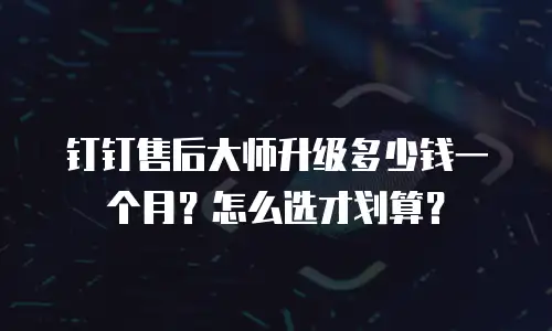 钉钉售后大师升级多少钱一个月？怎么选才划算？
