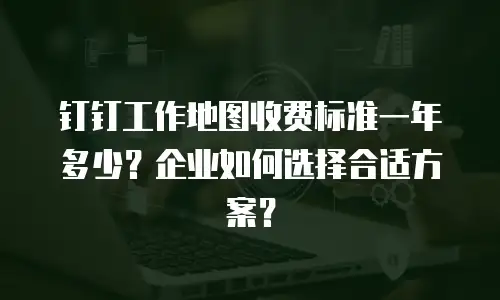 钉钉工作地图收费标准一年多少？企业如何选择合适方案？