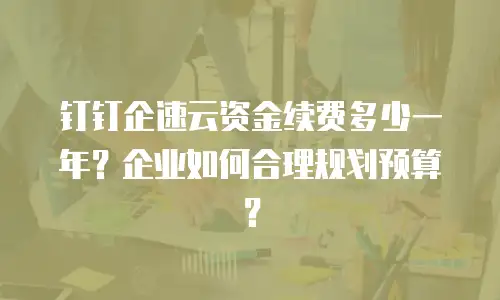 钉钉企速云资金续费多少一年？企业如何合理规划预算？