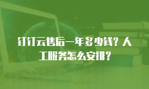 钉钉云售后一年多少钱？人工服务怎么安排？