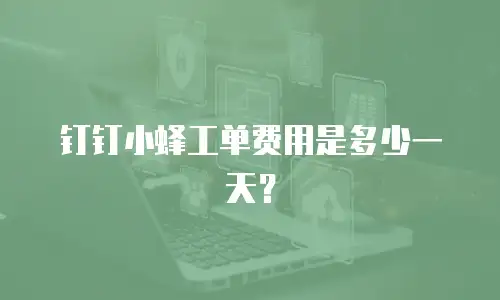 钉钉小蜂工单费用是多少一天？