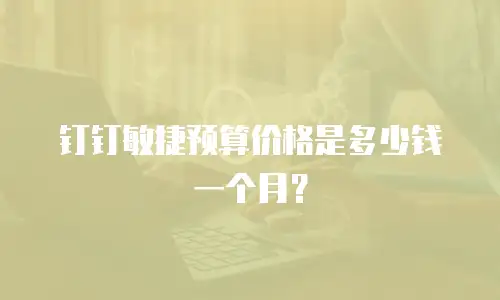 钉钉敏捷预算价格是多少钱一个月？