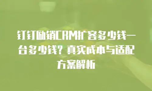 钉钉励销CRM扩容多少钱一台多少钱？真实成本与适配方案解析