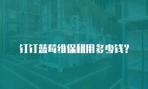 钉钉蓝莓维保租用多少钱？