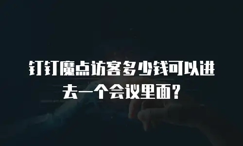 钉钉魔点访客多少钱可以进去一个会议里面？