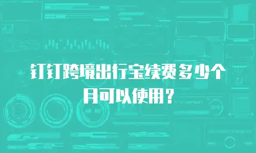 钉钉跨境出行宝续费多少个月可以使用？