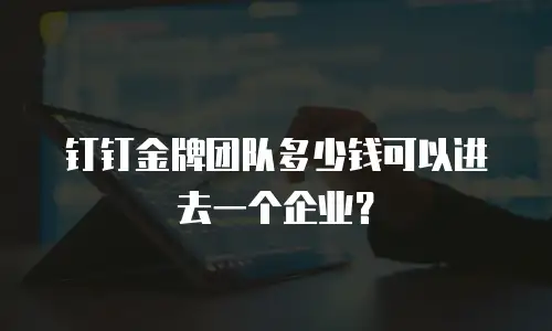 钉钉金牌团队多少钱可以进去一个企业？