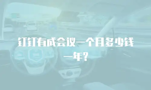 钉钉有成会议一个月多少钱一年？