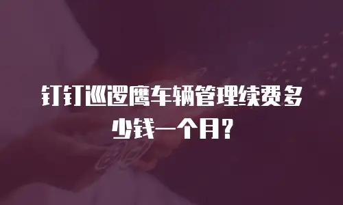 钉钉巡逻鹰车辆管理续费多少钱一个月？
