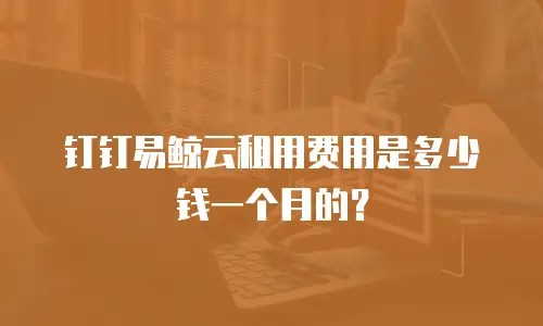 钉钉易鲸云租用费用是多少钱一个月的？
