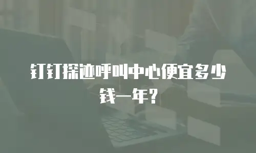 钉钉探迹呼叫中心便宜多少钱一年？