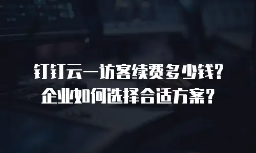 钉钉云一访客续费多少钱？企业如何选择合适方案？