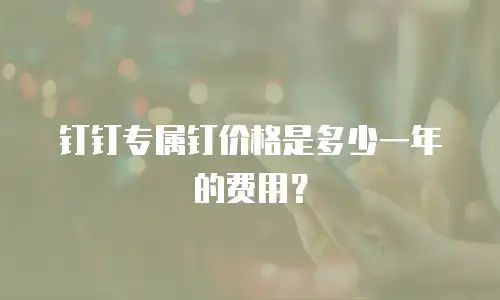 钉钉专属钉价格是多少一年的费用？