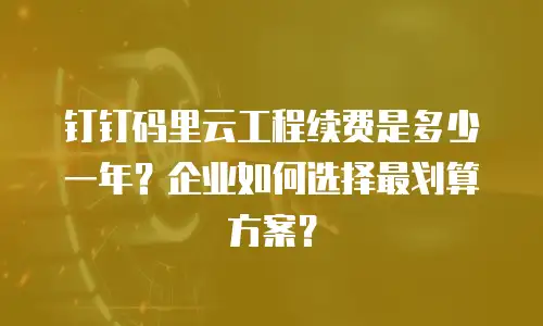 钉钉码里云工程续费是多少一年？企业如何选择最划算方案？