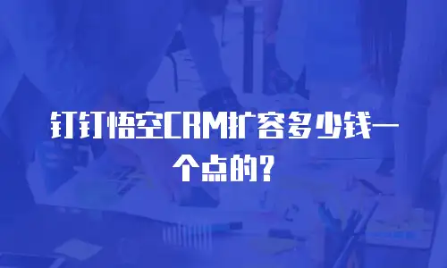 钉钉悟空CRM扩容多少钱一个点的？