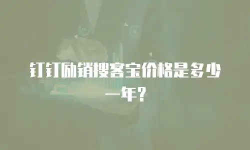 钉钉励销搜客宝价格是多少一年？
