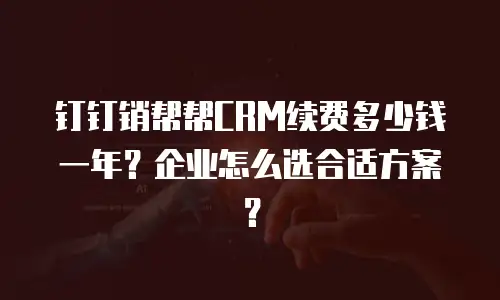 钉钉销帮帮CRM续费多少钱一年？企业怎么选合适方案？