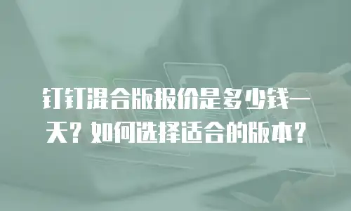 钉钉混合版报价是多少钱一天？如何选择适合的版本？