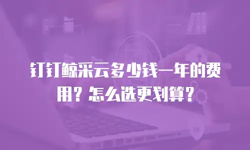 钉钉鲸采云多少钱一年的费用？怎么选更划算？