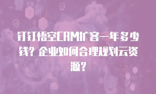 钉钉悟空CRM扩容一年多少钱？企业如何合理规划云资源？