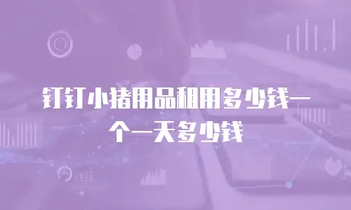 钉钉小猪用品租用多少钱一个一天多少钱