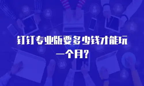钉钉专业版要多少钱才能玩一个月？