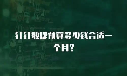 钉钉敏捷预算多少钱合适一个月？