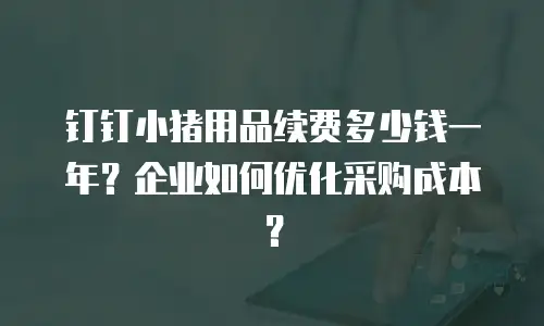 钉钉小猪用品续费多少钱一年？企业如何优化采购成本？