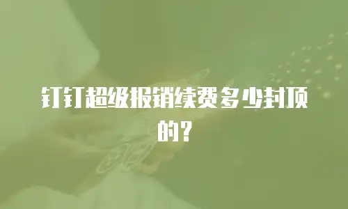 钉钉超级报销续费多少封顶的？