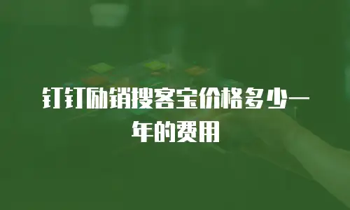 钉钉励销搜客宝价格多少一年的费用