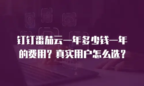 钉钉番茄云一年多少钱一年的费用？真实用户怎么选？