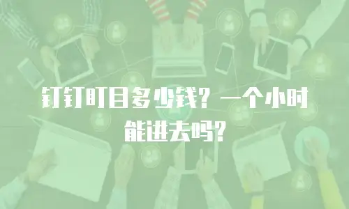 钉钉盯目多少钱？一个小时能进去吗？