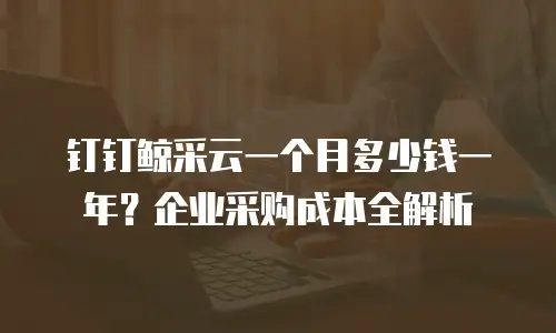 钉钉鲸采云一个月多少钱一年？企业采购成本全解析
