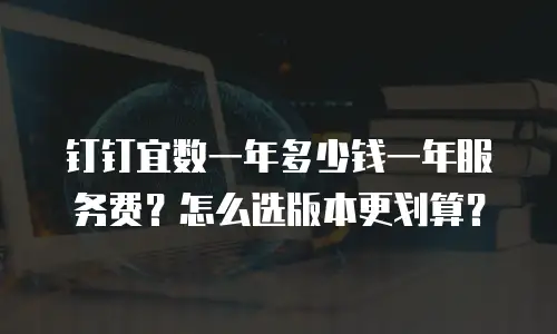 钉钉宜数一年多少钱一年服务费？怎么选版本更划算？