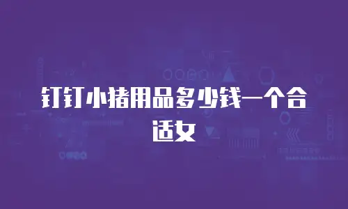 钉钉小猪用品多少钱一个合适女
