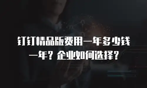 钉钉精品版费用一年多少钱一年？企业如何选择？