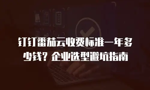 钉钉番茄云收费标准一年多少钱？企业选型避坑指南